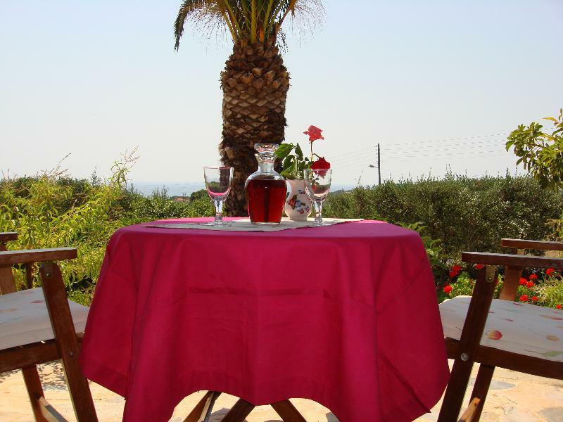 Kapnisi Appartement Vasilikí